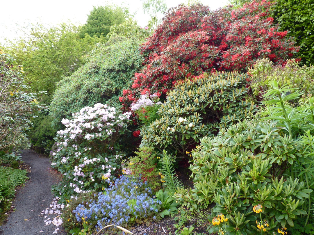 珀斯旅游景点-Branklyn Garden