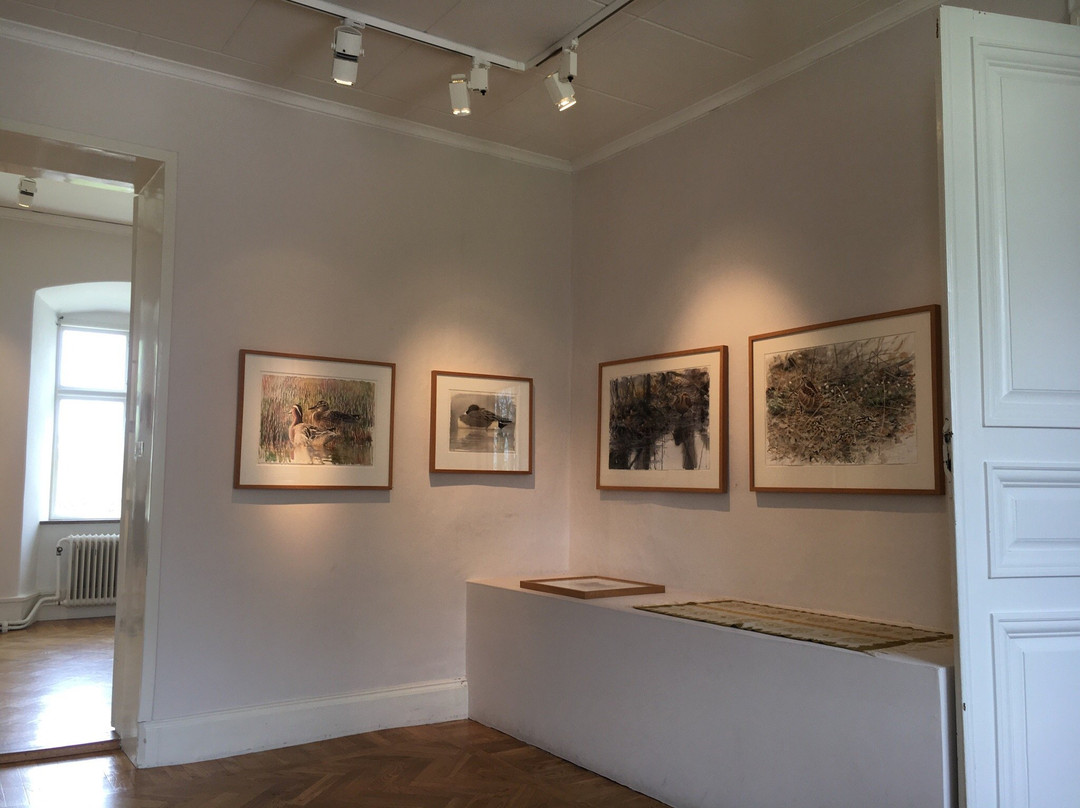 Museum Lars Jonsson景点图片