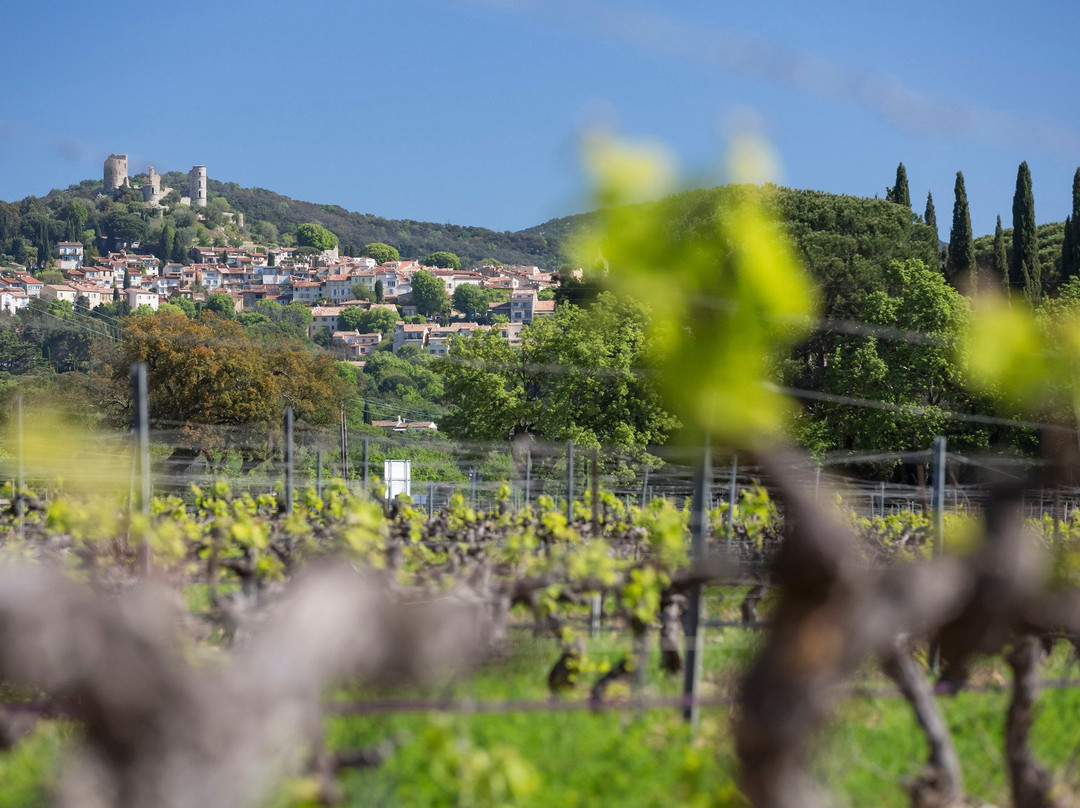 Château Saint-Maur Cru Classé-Cogolin必去景点