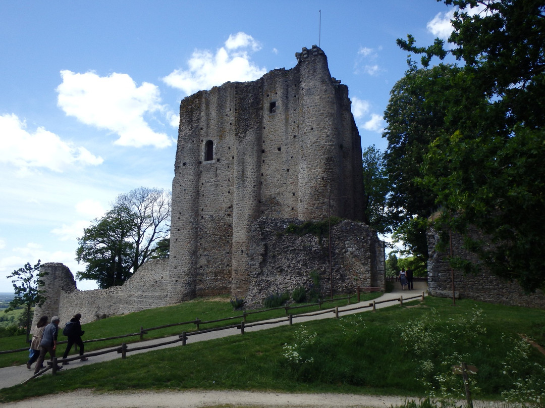 Chateau de Pouzauges景点图片