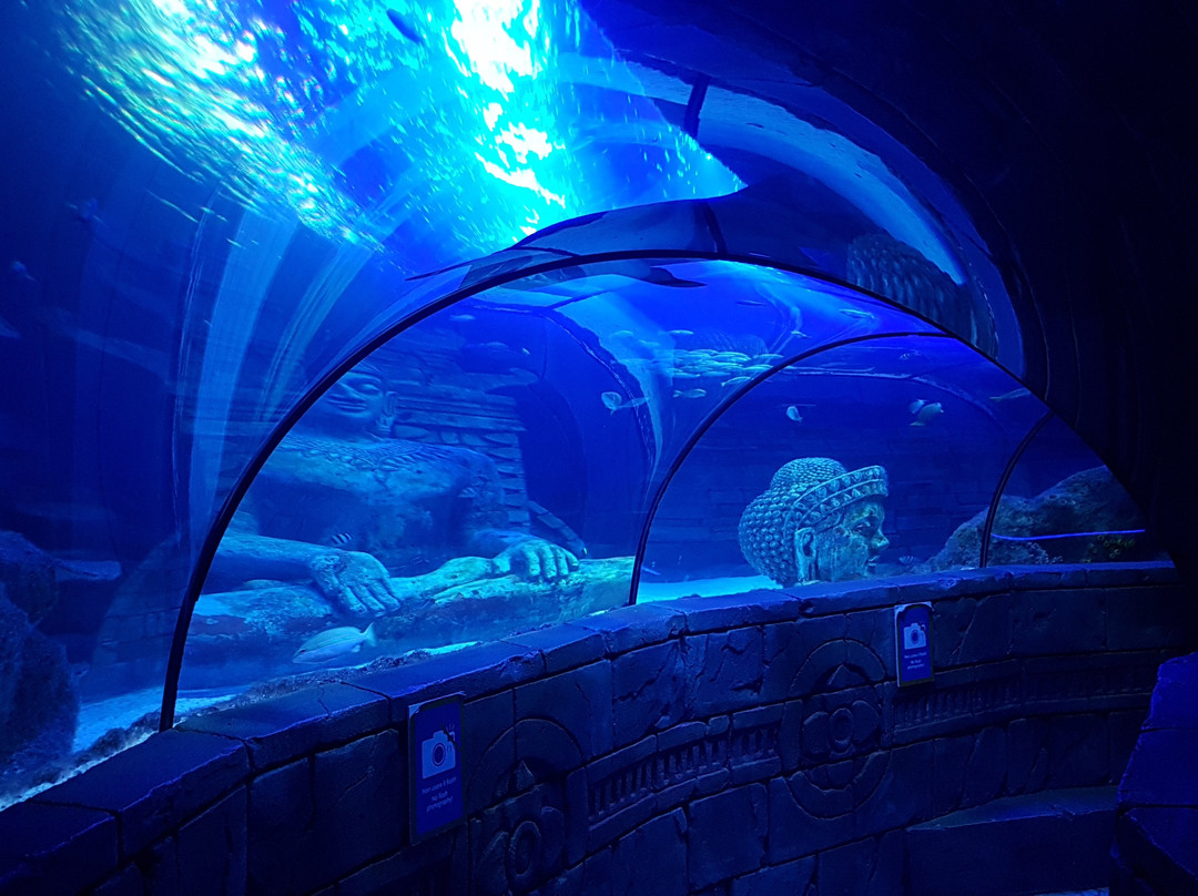 Lido di Jesolo Sea Life Aquarium-耶索洛必去景点