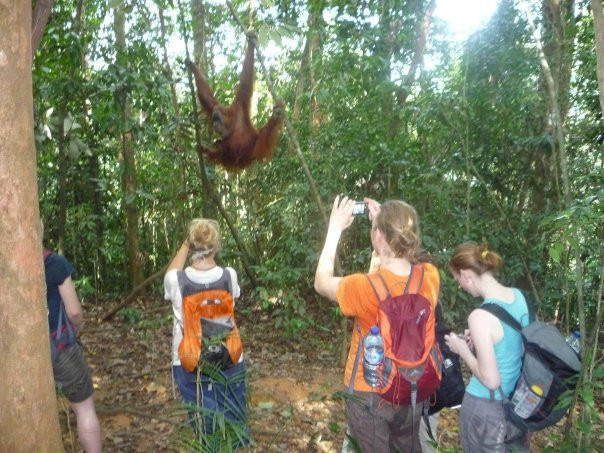 Bukit Lawang Planet-武吉拉旺必去景点