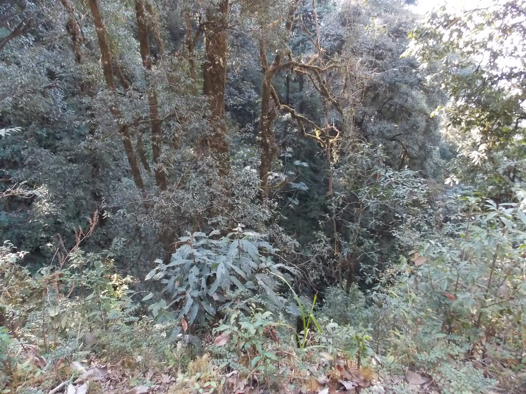 Tiffin Dara View Point景点图片