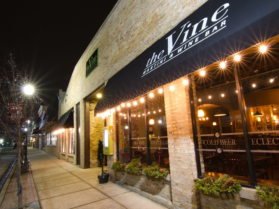 Hainesville餐馆和美食-The Vine Martini & Wine Bar