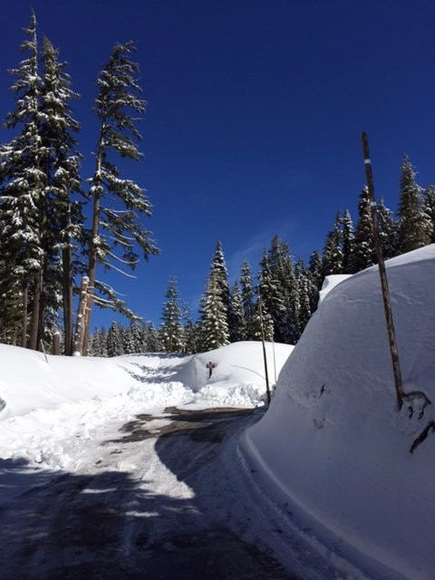 Crater Lake National Park - Steel Visitor's Center景点图片