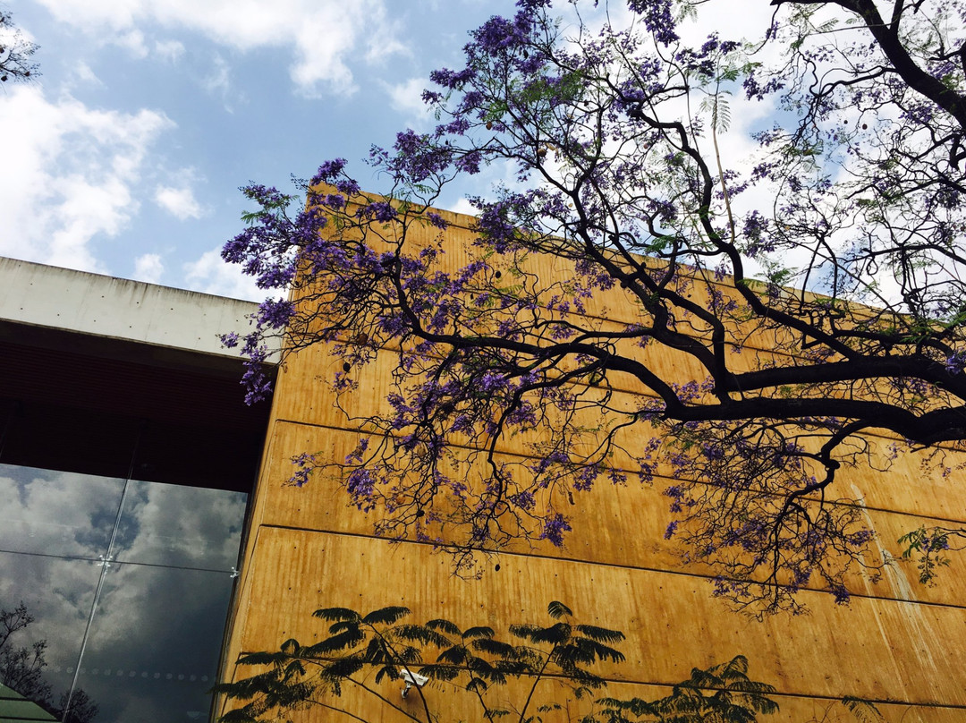 Forum Cultural Guanajuato-利昂必去景点