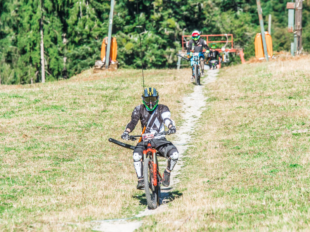 Bikepark Bad Wildbad景点图片