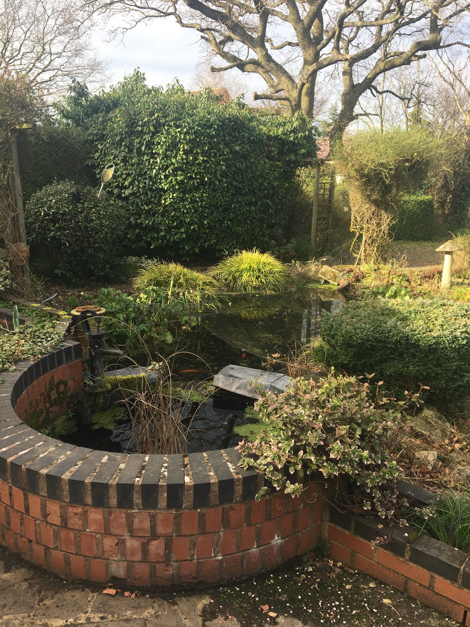Dove House Bed and Breakfast-餐饮