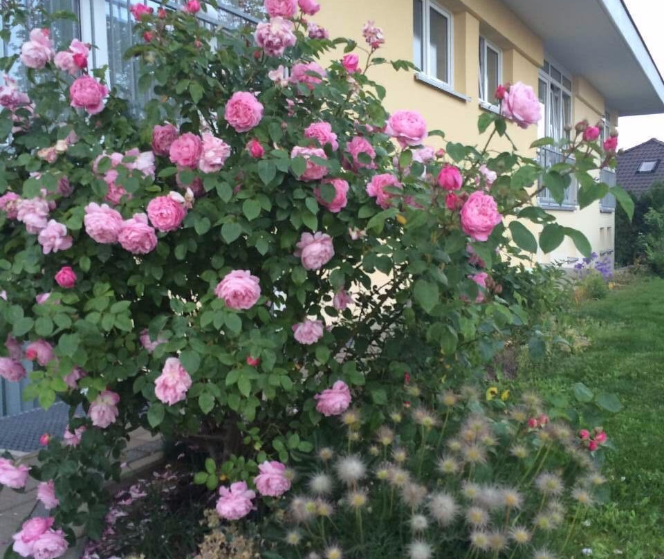 Atrium Garni, Hotel und Weinhandlung主图
