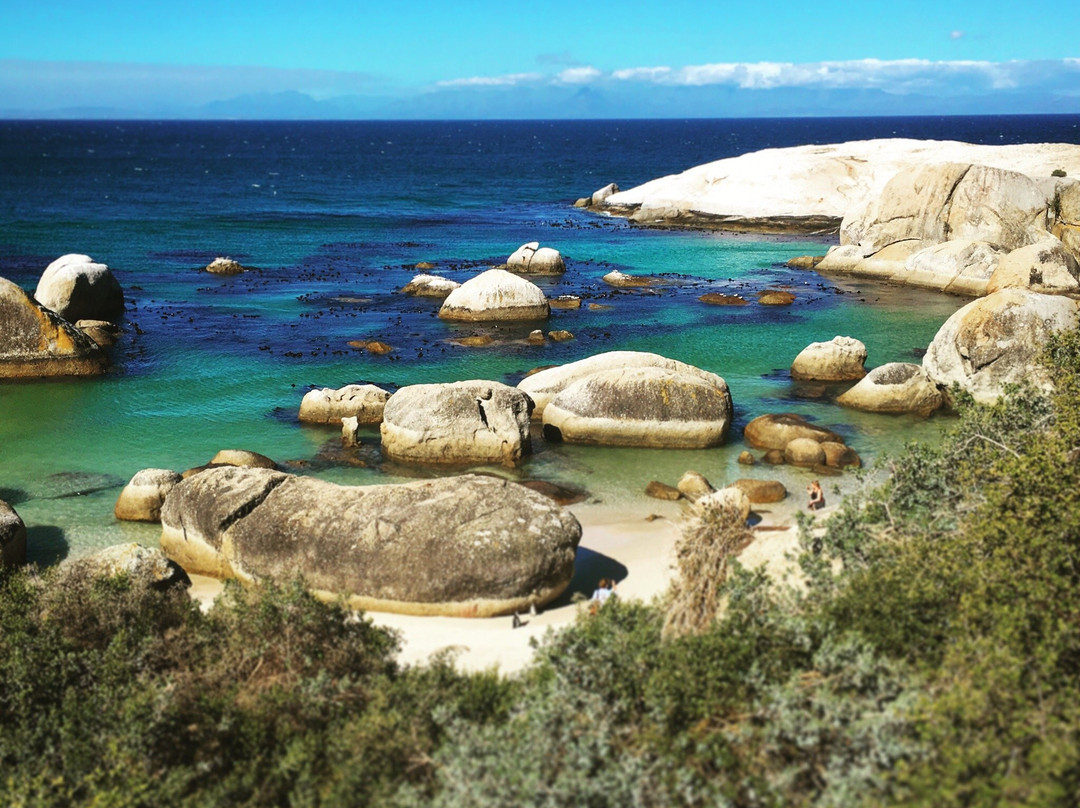 Sasa Hivi Explorers-开普敦中心区必去景点