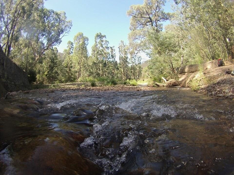 Lake Tali Karng-Alpine National Park必去景点