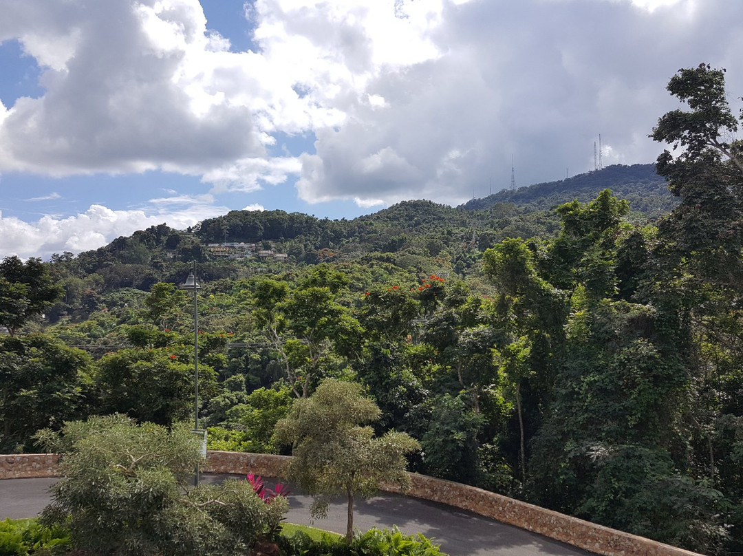 Parque Forestal La Marquesa景点图片