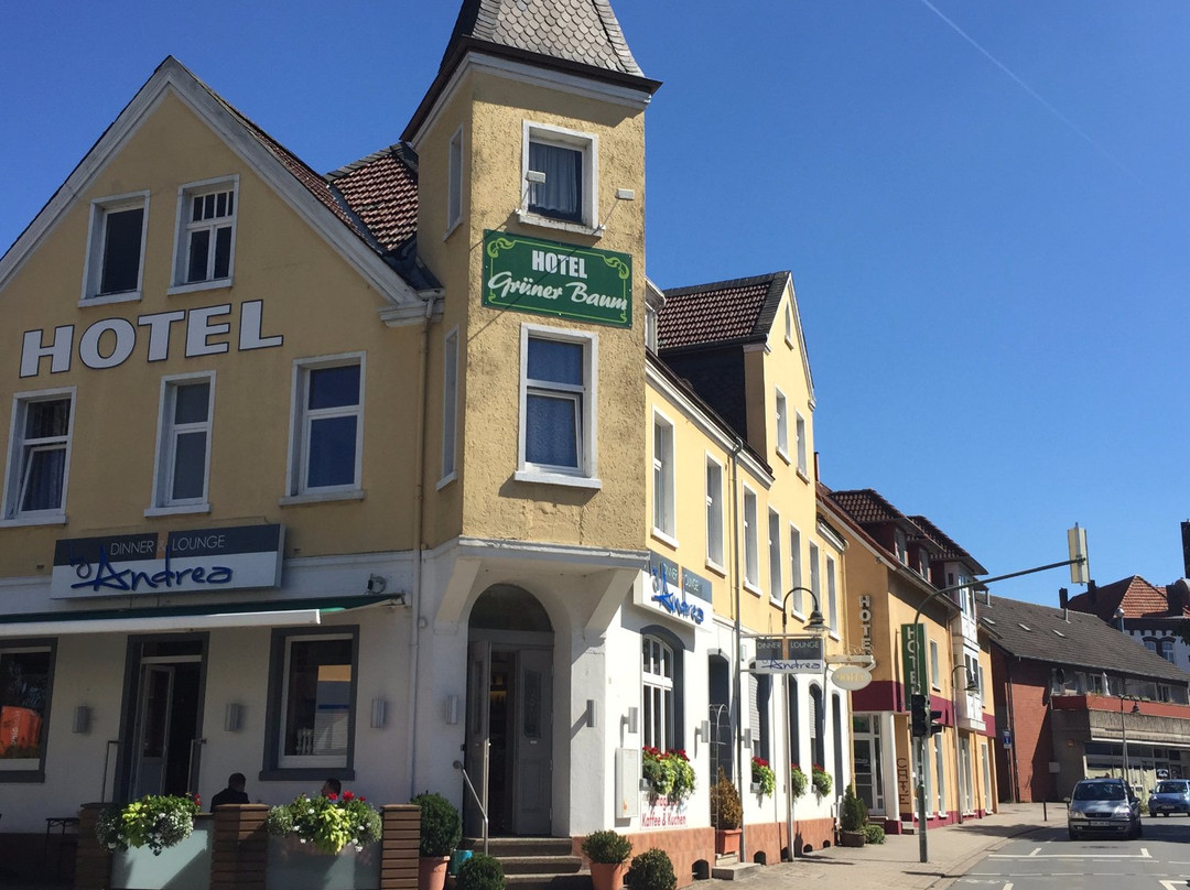 Gruener Baum Hotel Restaurant主图