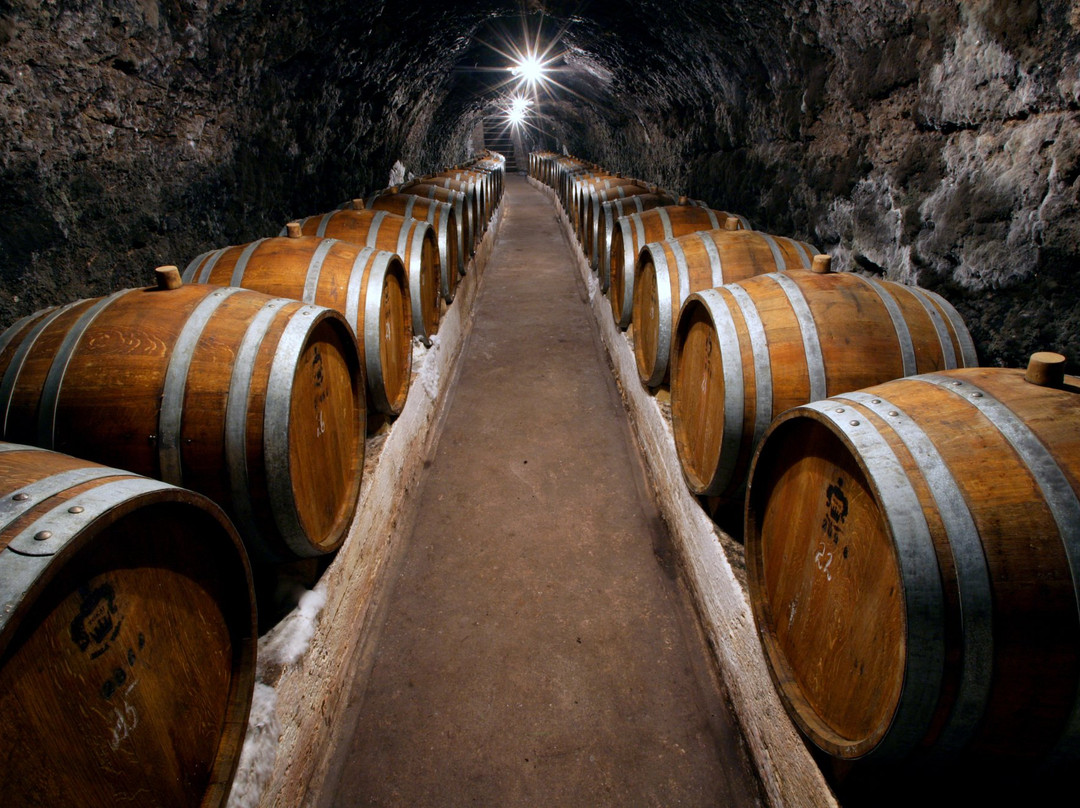 Tokaj & Co