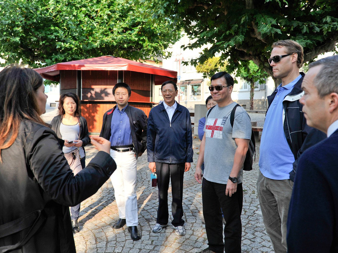 Rheingau Tours-Eltville am Rhein必去景点