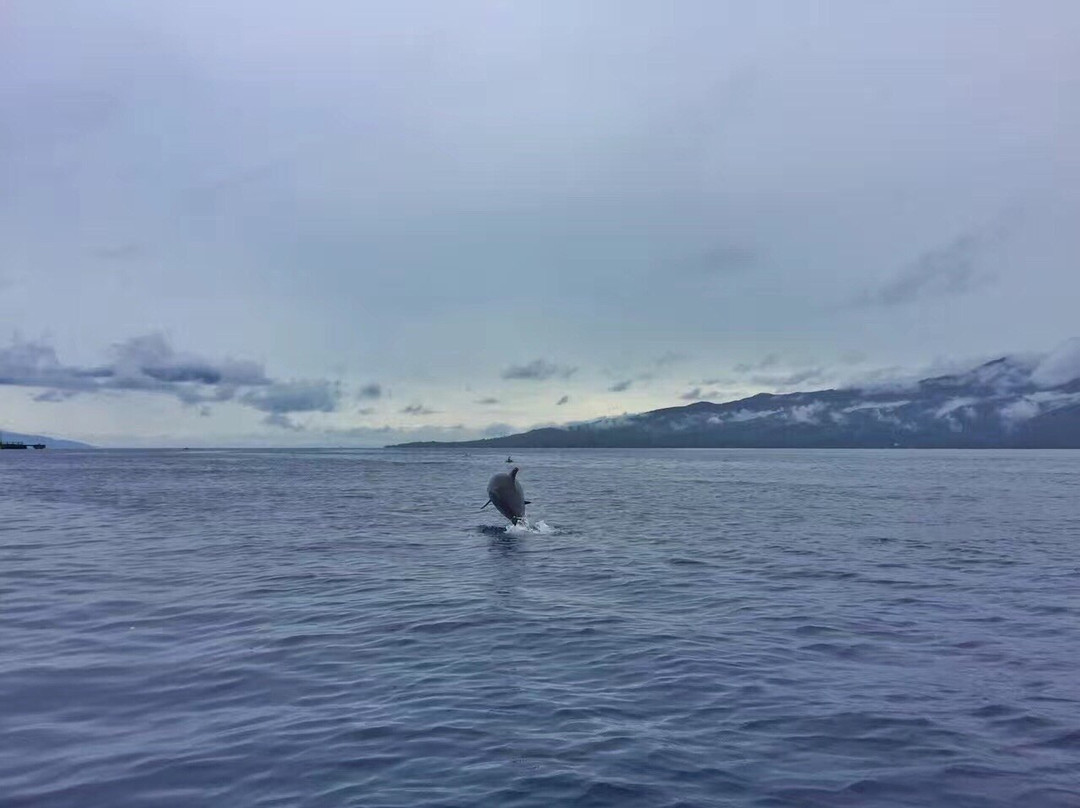 Putih Lessi Indah主图