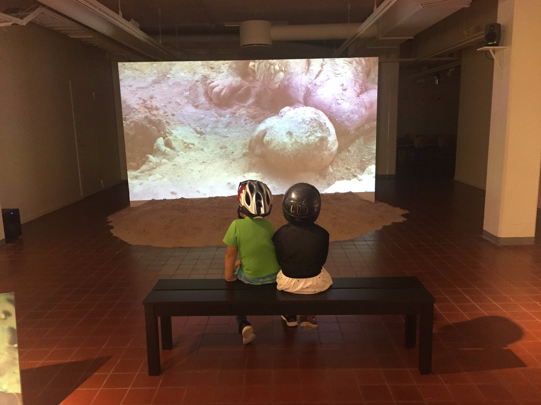 Österängens Konsthall-延雪平必去景点