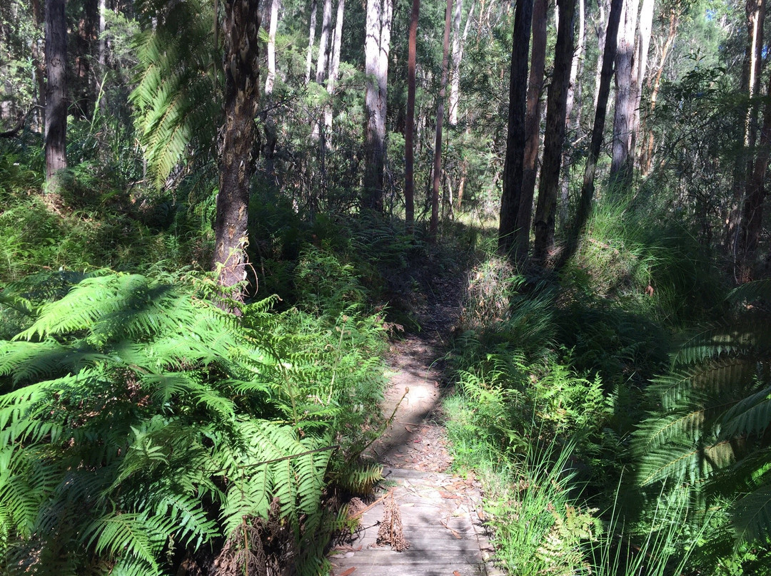 Birdwood Gully Park景点图片