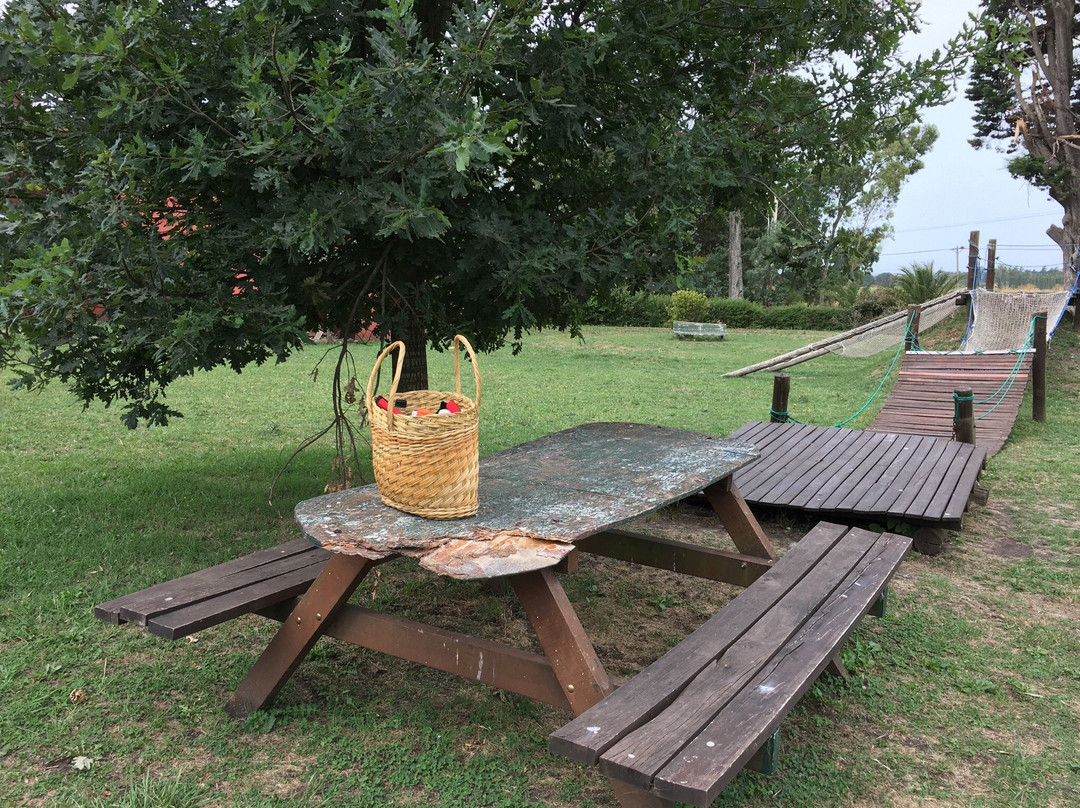 La Casualidad-Sierra de los Padres必去景点