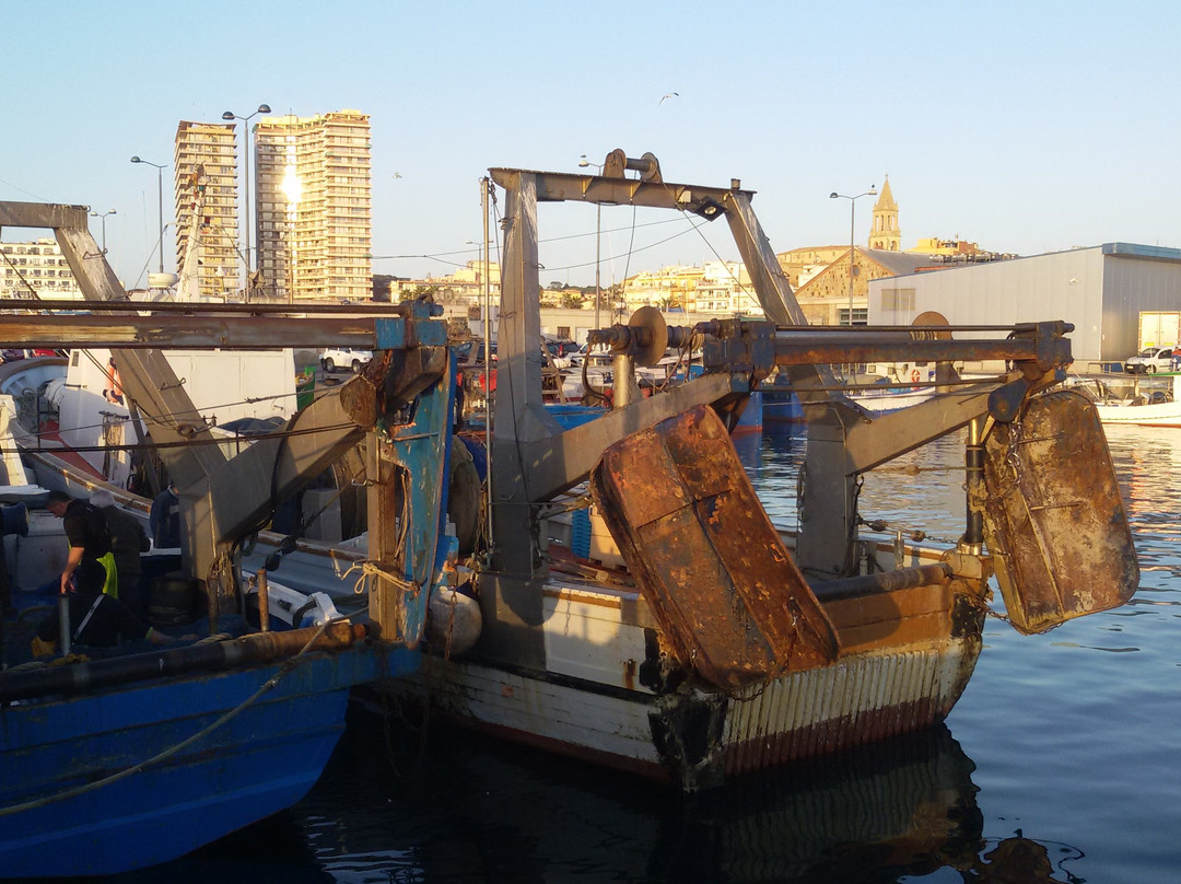 Espai del Peix-Palamos必去景点