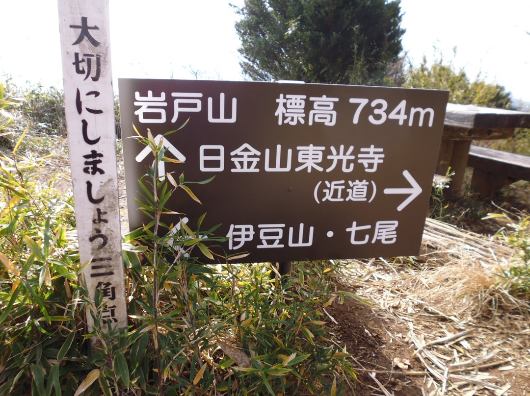 Mt. Iwato-热海市必去景点