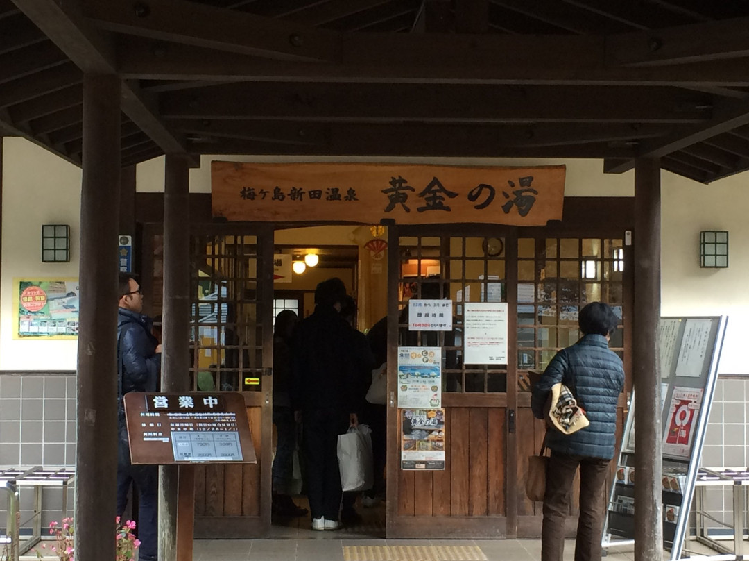 Umegashima Shinden Onsen Koganenoyu-静冈市必去景点