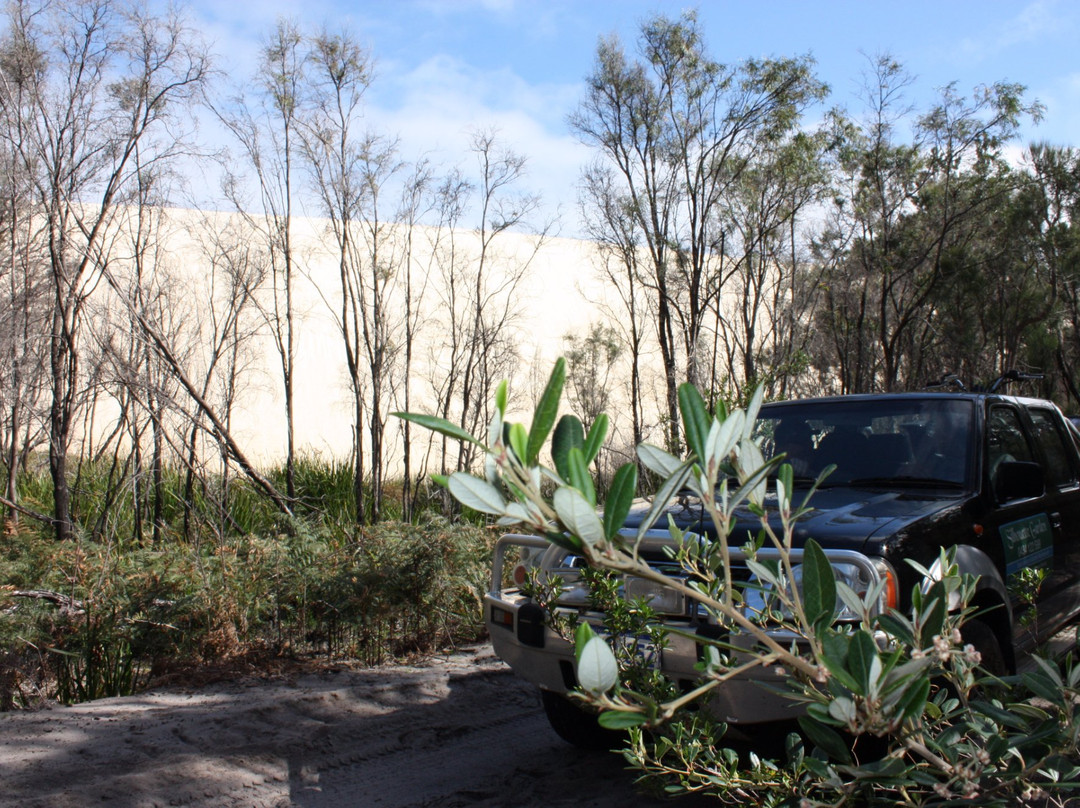 Yeagarup Dunes-彭伯顿必去景点
