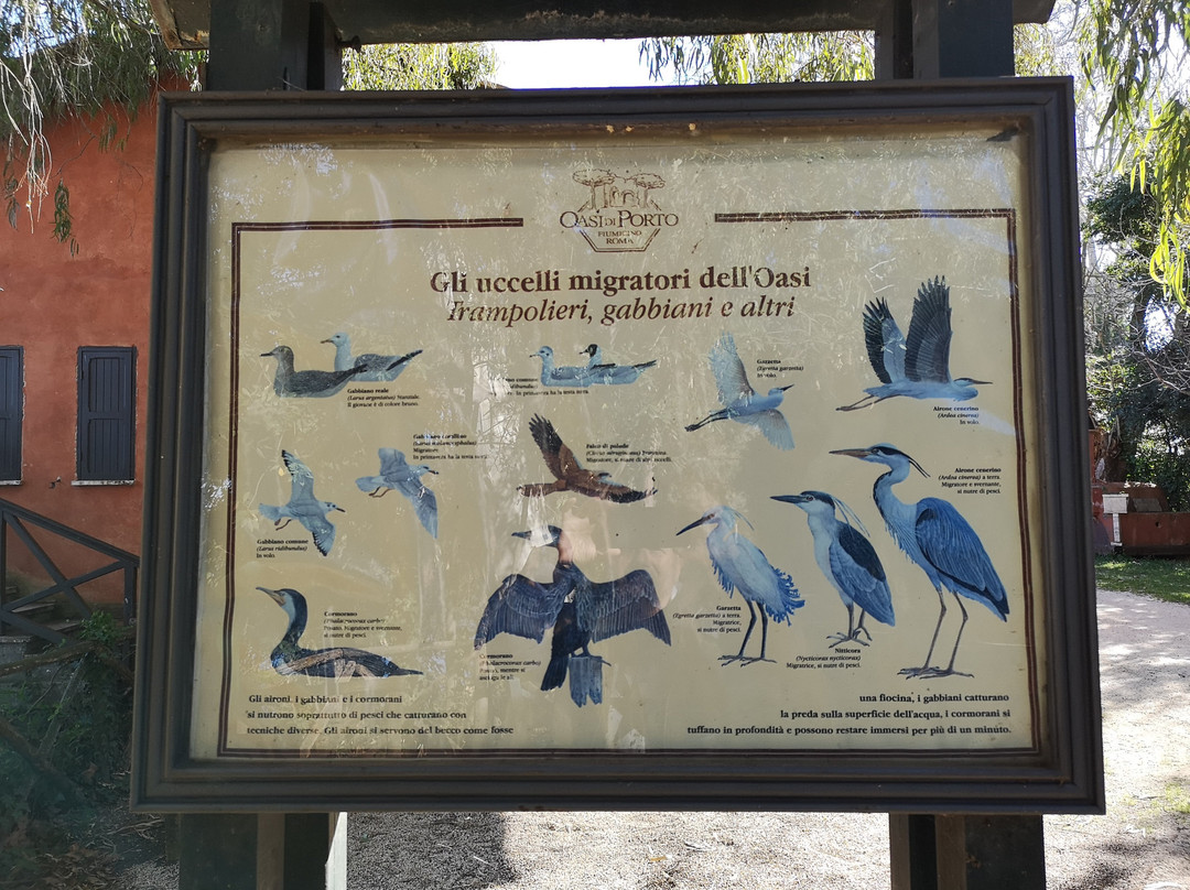 Oasi di Porto景点图片
