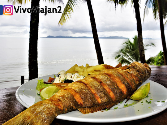 Hotel Playa Reina主图