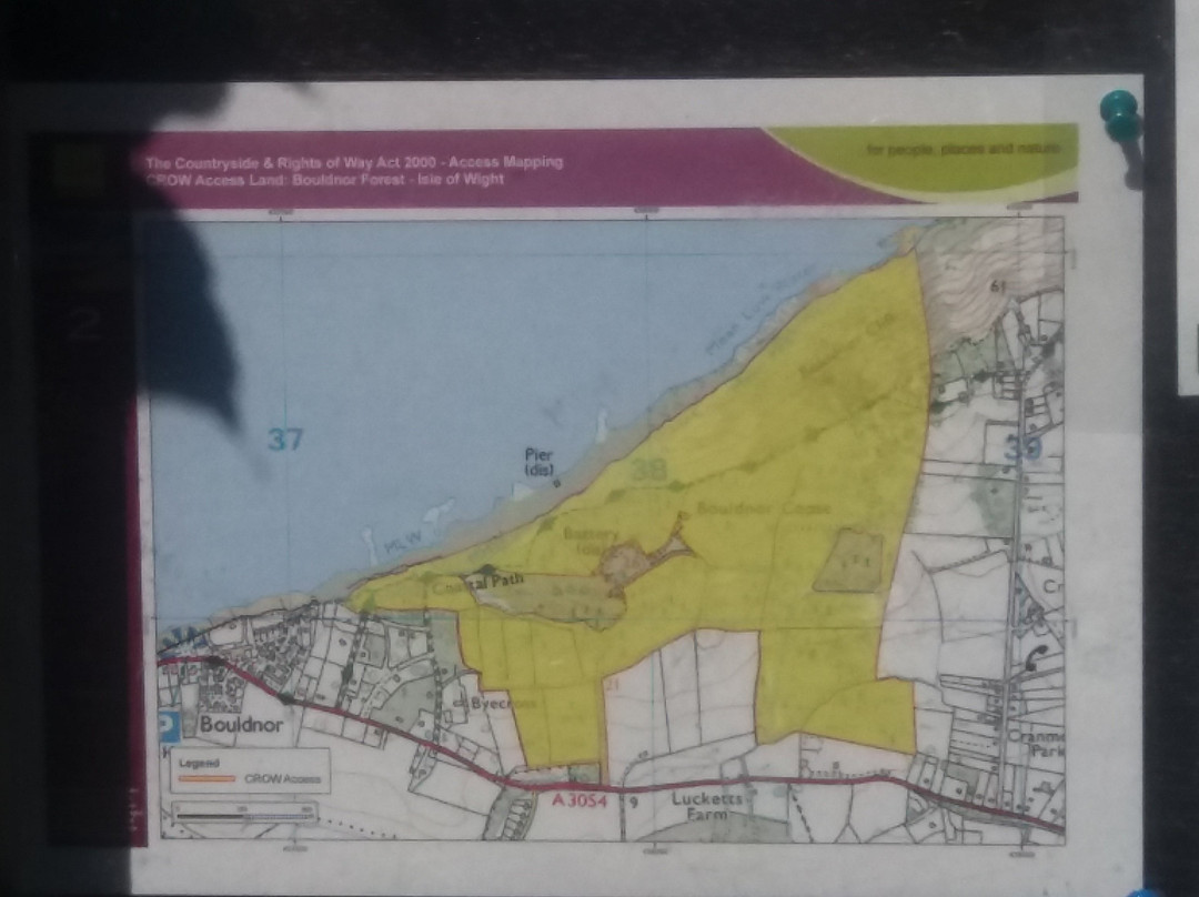 Bouldnor Forest, Yarmouth, Isle of Wight景点图片
