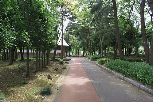 Doho Park-筑波市必去景点