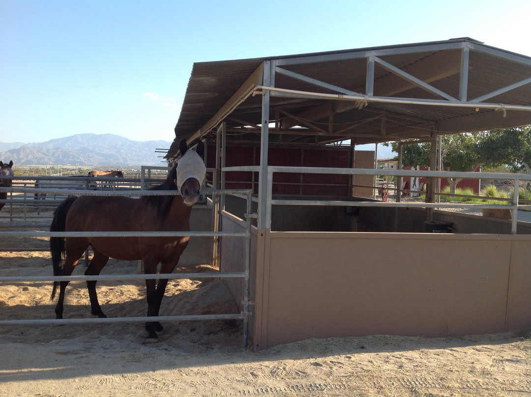 Ivey Ranch Equestrian Center-Thousand Palms必去景点