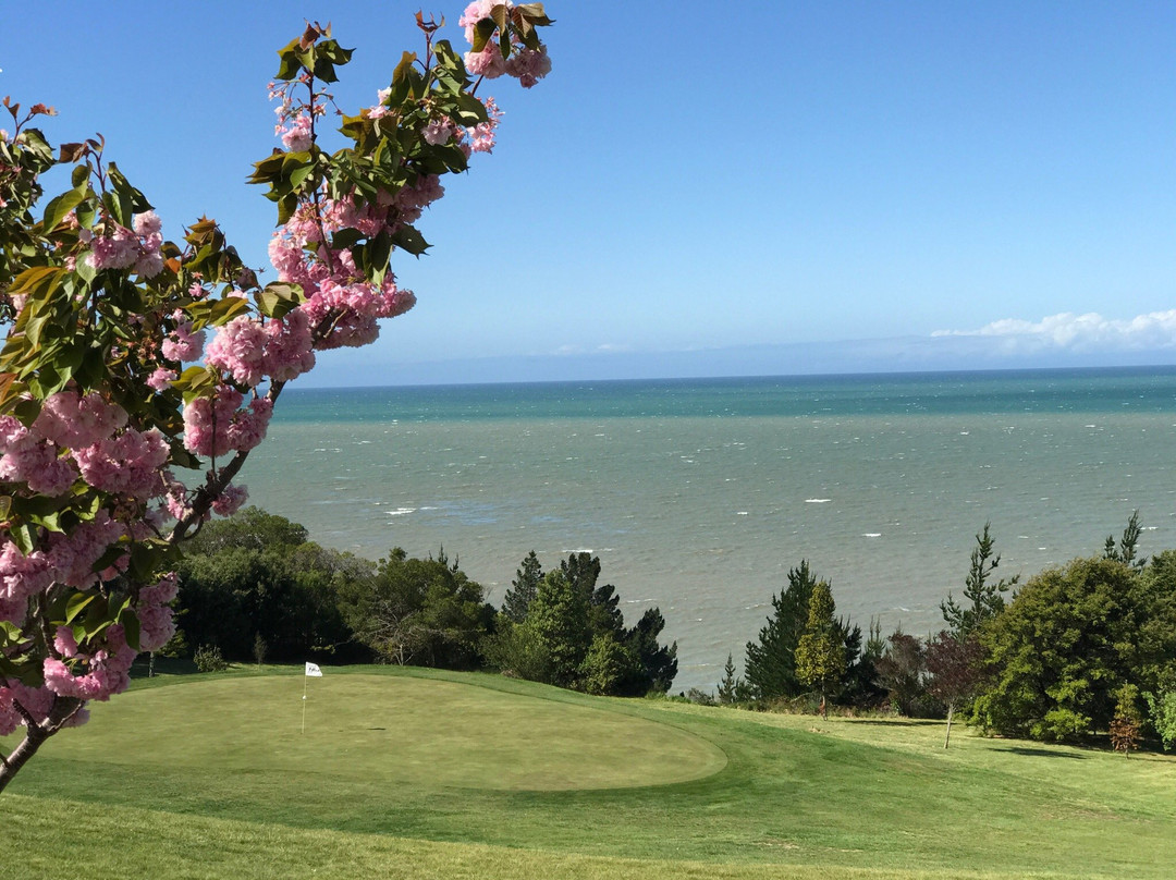 Tasman Golf Club景点图片