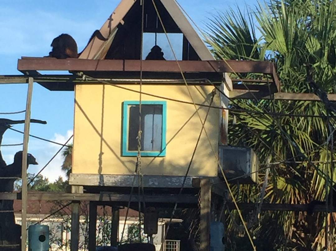 Bird Island-Homosassa必去景点