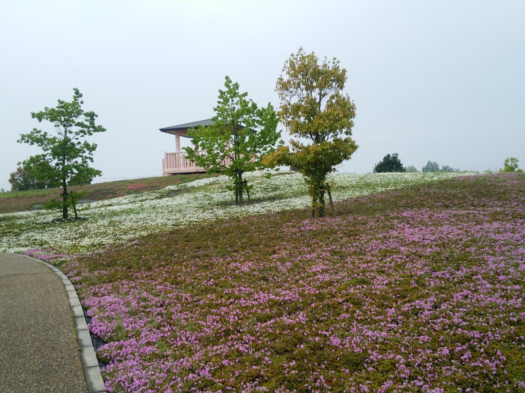 Mitsumata Pond Park-弥富市必去景点