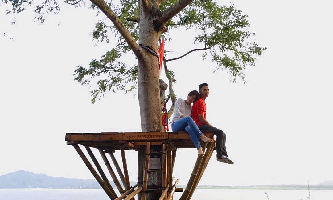 Urongo Tree House景点图片