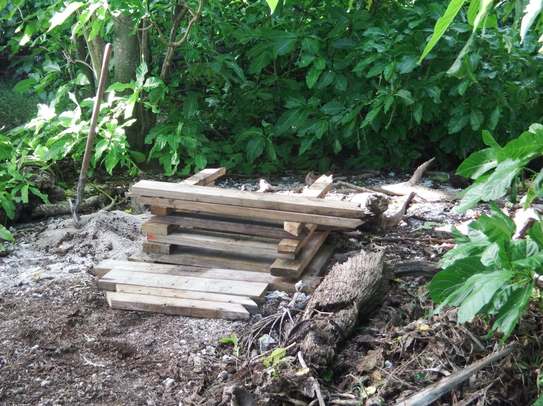 Luahoko Robinson Island-Foa Island必去景点