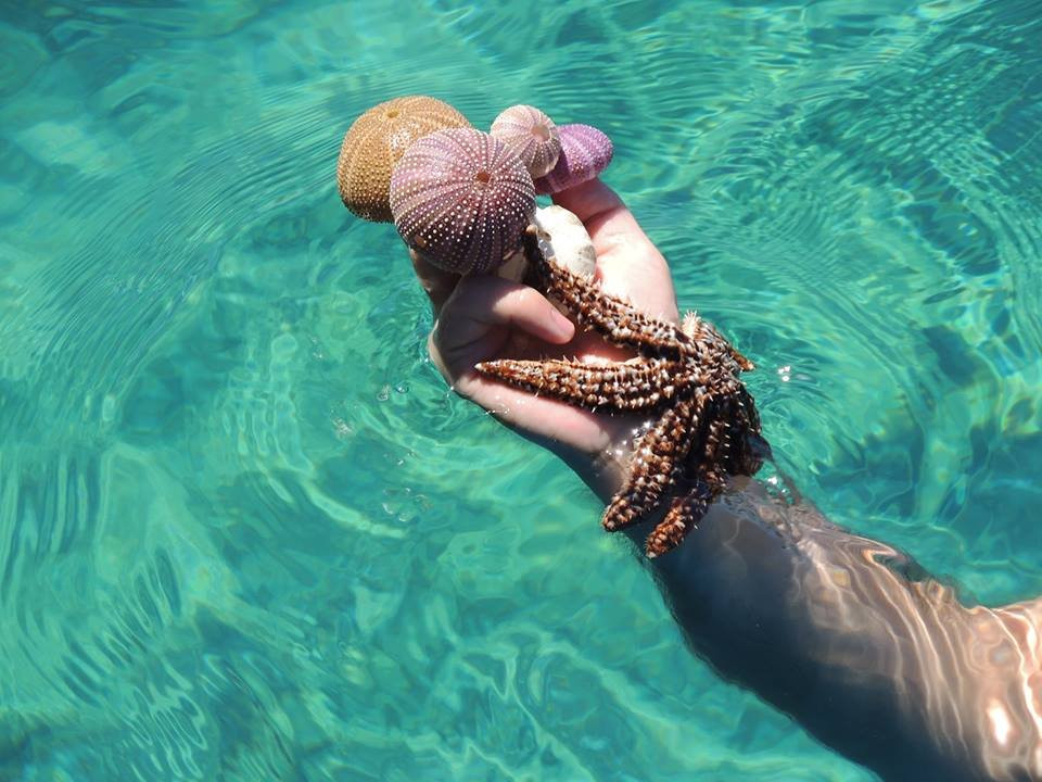 Ano Symi酒店住宿-Albatros Hotel