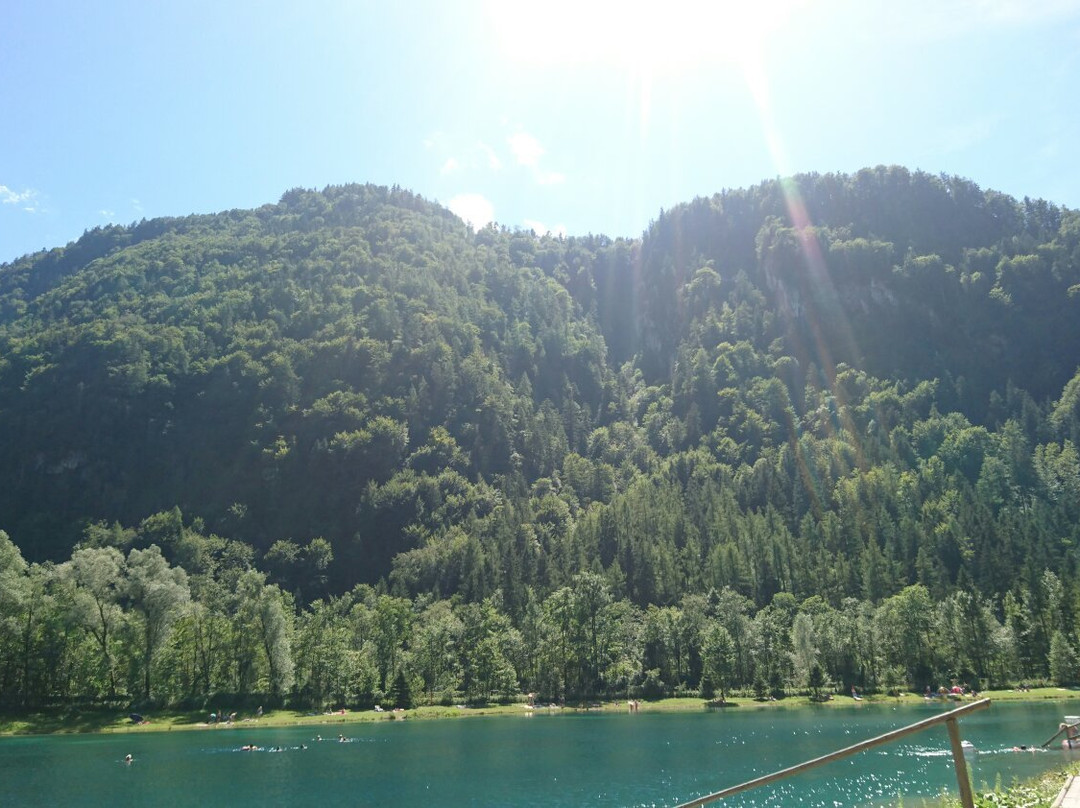 Freizeitanlage Harrbergsee-Scheffau必去景点