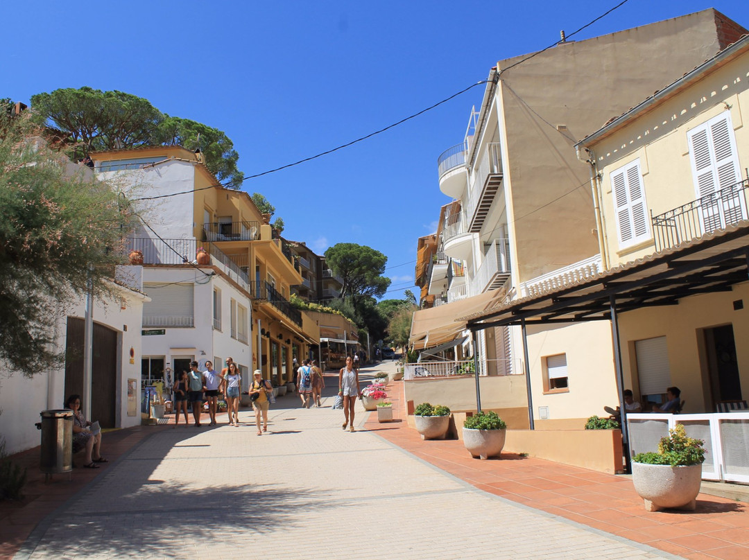 Platja Port Bo景点图片
