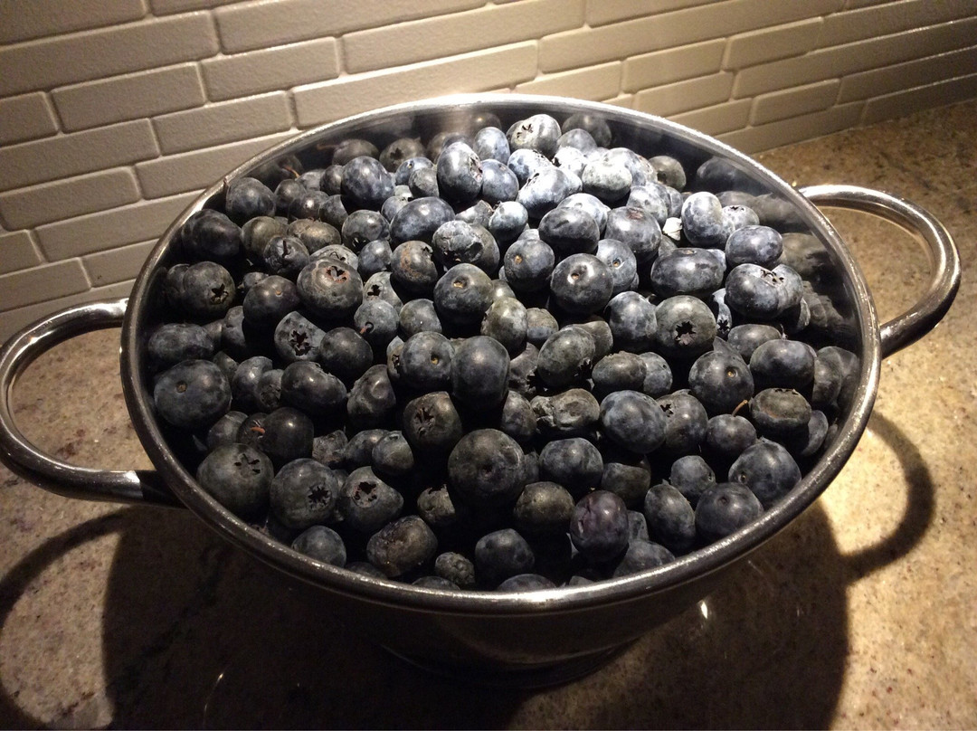 Bowerman Blueberries Farm Market景点图片
