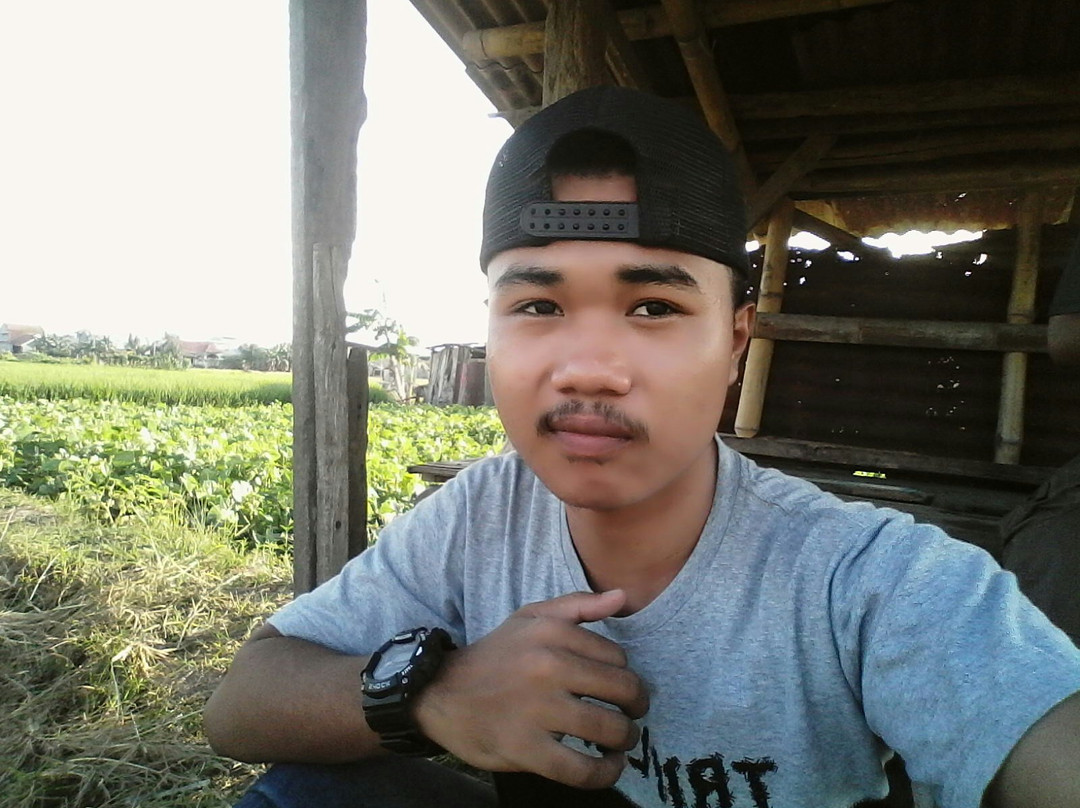 Nyoman Ada Gallery景点图片