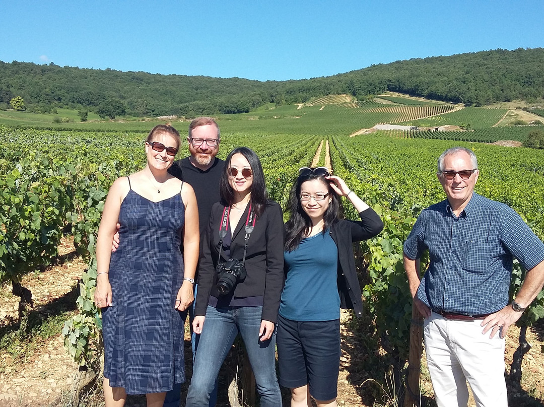 Domaine De La Choupette-Gutrin Fils景点图片
