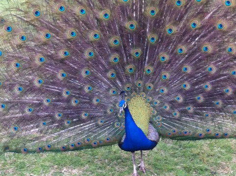 Centabrook Motor Inn主图