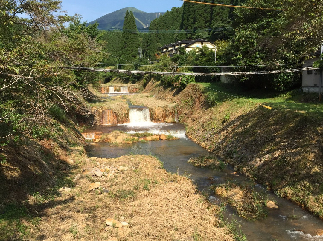 Shirahana Symphony主图