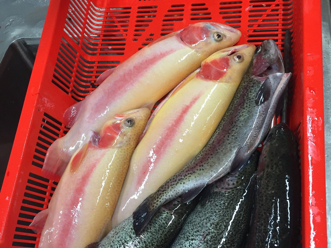 Alpine Trout Farm-Noojee必去景点