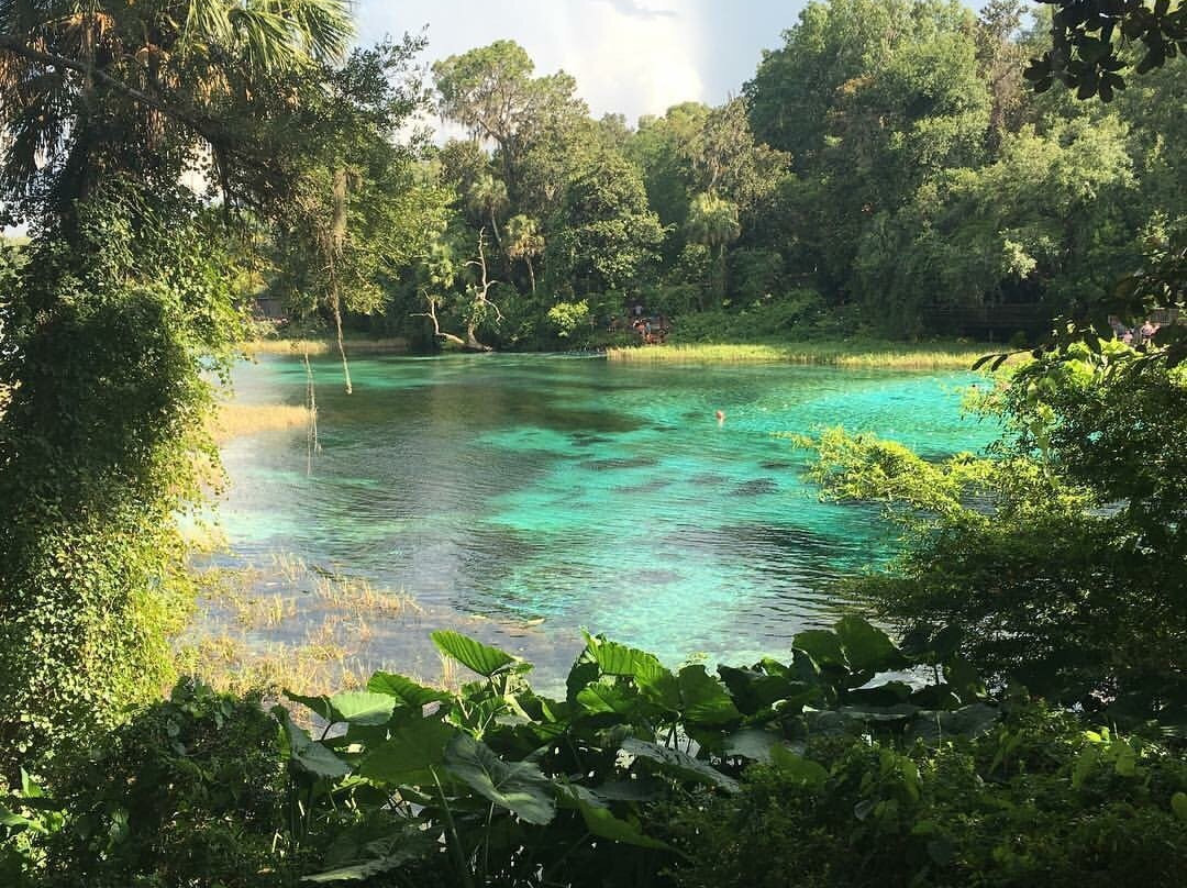 Rainbow Springs State Park