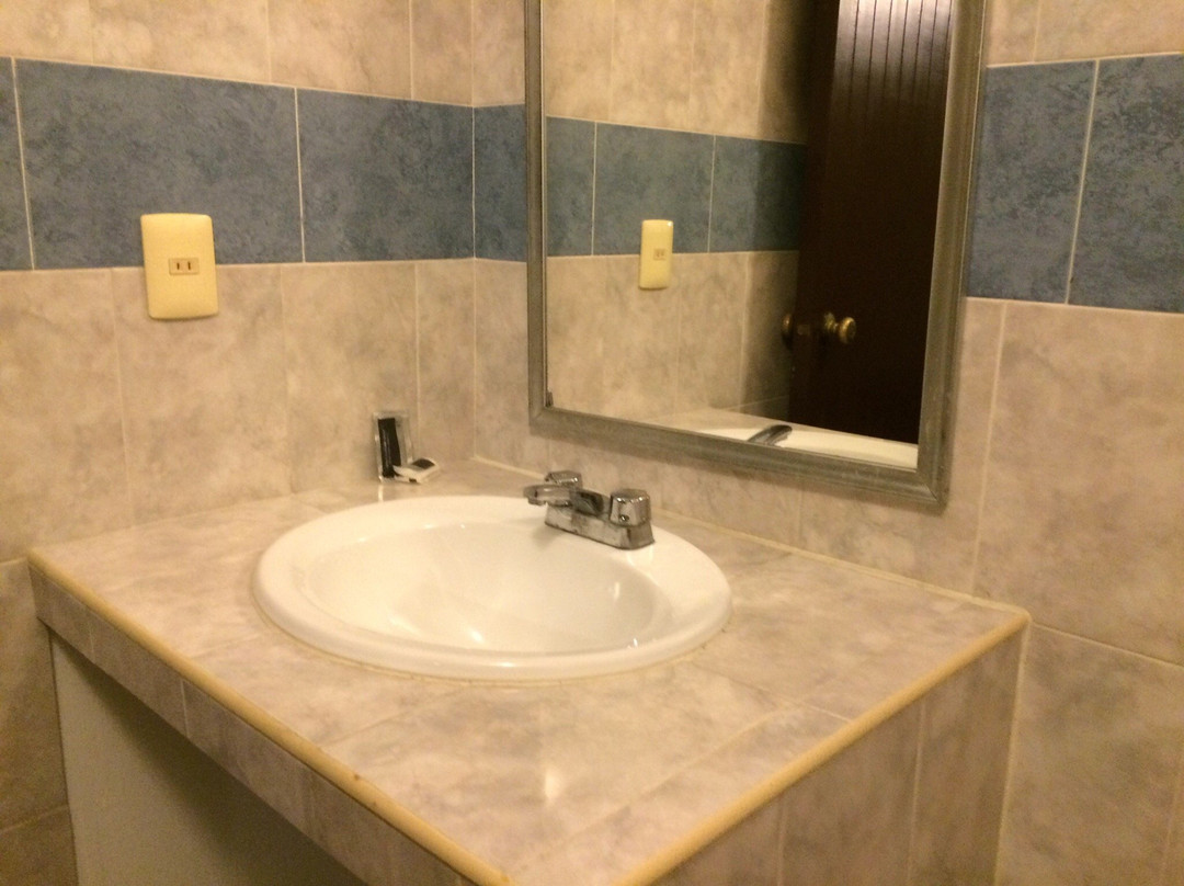 Villaflores酒店住宿-Hotel El Roble