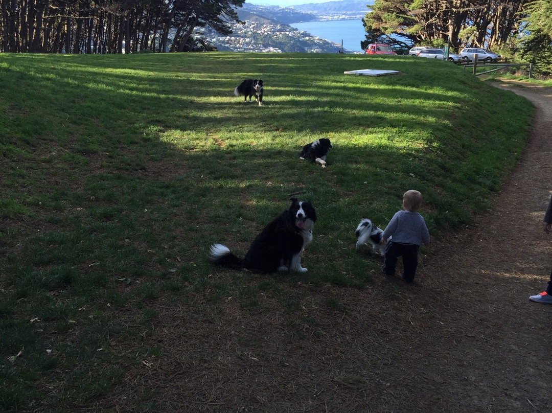 Tinakori Hill-惠灵顿必去景点