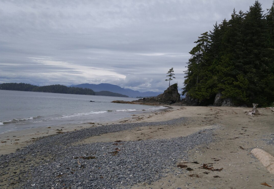 Brady's Beach景点图片